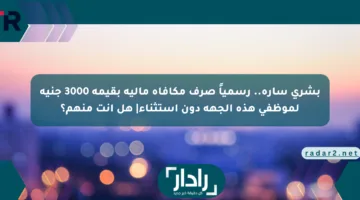 بشرى سارة.. رسمياً صرف مكافأة مالية بقيمة 3000 جنيه لموظفي هذه الجهة دون استثناء| هل أنت منهم؟